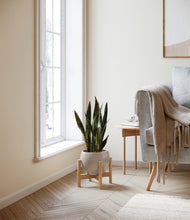 Load image into Gallery viewer, Winter Clouds stand:bamboo