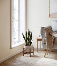 Load image into Gallery viewer, Winter Clouds stand:walnut