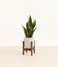 Load image into Gallery viewer, Natural Bamboo stand:walnut