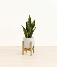 Load image into Gallery viewer, Natural Bamboo stand:bamboo