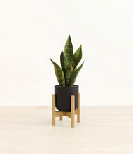 Load image into Gallery viewer, Stone Black stand:bamboo