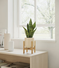 Load image into Gallery viewer, Almond Green stand:bamboo