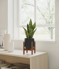 Load image into Gallery viewer, Black stand:walnut