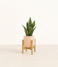 Load image into Gallery viewer, Gentle Pink stand:bamboo