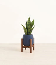 Load image into Gallery viewer, Deep Navy stand:walnut