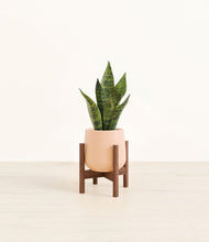 Load image into Gallery viewer, Gentle Pink stand:walnut