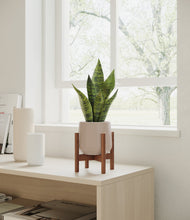 Load image into Gallery viewer, Eternal Gray stand:walnut