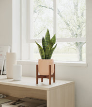 Load image into Gallery viewer, Gentle Pink stand:walnut