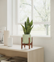 Load image into Gallery viewer, Turquoise stand:walnut