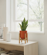 Load image into Gallery viewer, Earth Red stand:bamboo