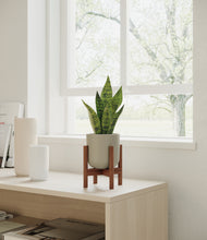 Load image into Gallery viewer, Sage Green stand:walnut