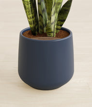 Load image into Gallery viewer, Deep Navy stand:all