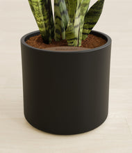 Load image into Gallery viewer, Black stand:all