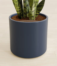 Load image into Gallery viewer, Deep Navy stand:all