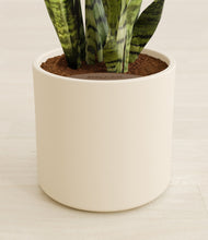 Load image into Gallery viewer, Cream stand:all