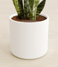 Load image into Gallery viewer, White stand:all