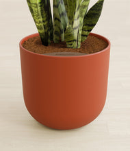 Load image into Gallery viewer, Earth Red stand:all