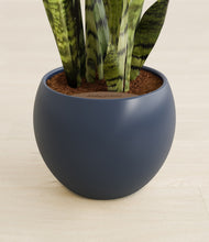 Load image into Gallery viewer, Deep Navy stand:all