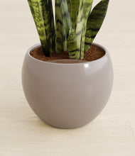 Load image into Gallery viewer, Winter Clouds stand:all