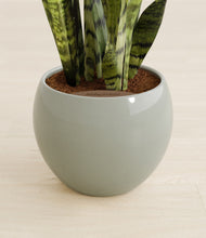 Load image into Gallery viewer, Deep Ocean stand:all