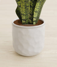 Load image into Gallery viewer, Hammered Ivory stand:all