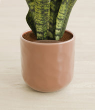 Load image into Gallery viewer, Hammered Peach Pink stand:all