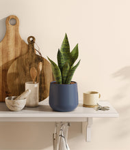 Load image into Gallery viewer, Deep Navy