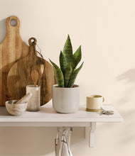 Load image into Gallery viewer, Cotton White