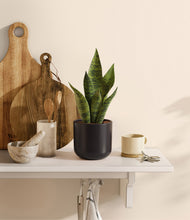 Load image into Gallery viewer, Stone Black