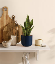 Load image into Gallery viewer, Twilight Blue