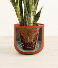 Load image into Gallery viewer, Earth Red