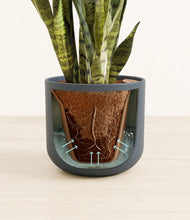 Load image into Gallery viewer, Iron Gray stand:all
