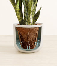 Load image into Gallery viewer, Natural Bamboo stand:all