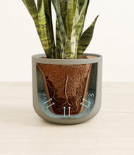 Load image into Gallery viewer, Sage Green stand:all