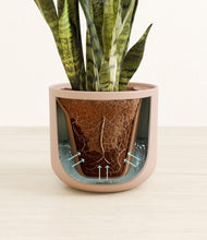 Load image into Gallery viewer, Sandy Pink