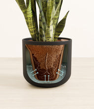 Load image into Gallery viewer, Stone Black