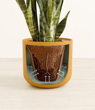 Load image into Gallery viewer, Sunset Orange