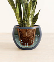 Load image into Gallery viewer, Deep Navy stand:all