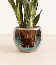 Load image into Gallery viewer, Desert Brown stand:all