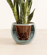 Load image into Gallery viewer, Deep Ocean stand:all