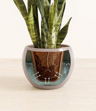 Load image into Gallery viewer, Winter Clouds stand:all