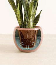 Load image into Gallery viewer, Calm Rose stand:all