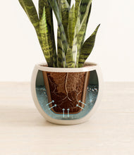 Load image into Gallery viewer, Shiny EggWhite stand:all