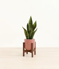 Load image into Gallery viewer, Hammered Rose Pink stand:walnut