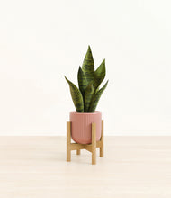 Load image into Gallery viewer, Striped Rose Pink stand:bamboo