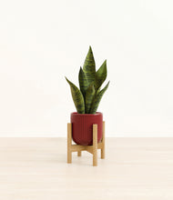 Load image into Gallery viewer, Striped Cherry Red stand:bamboo