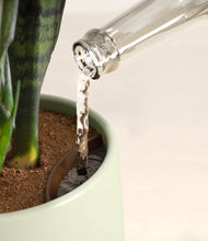 Load image into Gallery viewer, Turquoise stand:all