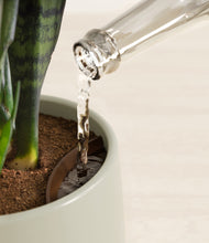 Load image into Gallery viewer, Turquoise stand:all