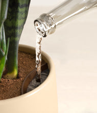 Load image into Gallery viewer, Almond Green stand:all