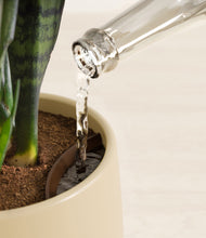 Load image into Gallery viewer, Almond Green stand:all